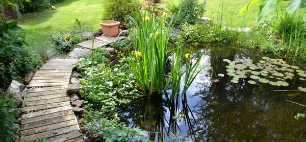 Lighting a garden pond - How to put your pond in the limelight