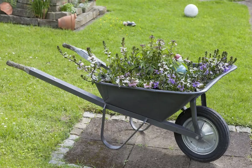 Upcycling: wheelbarrow as a bed