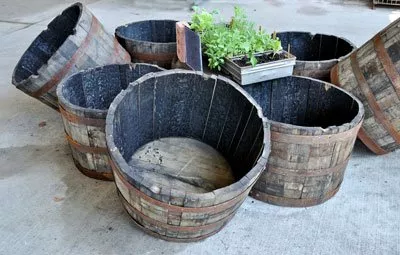 Creating a garden pond in a barrel - step by step instructions