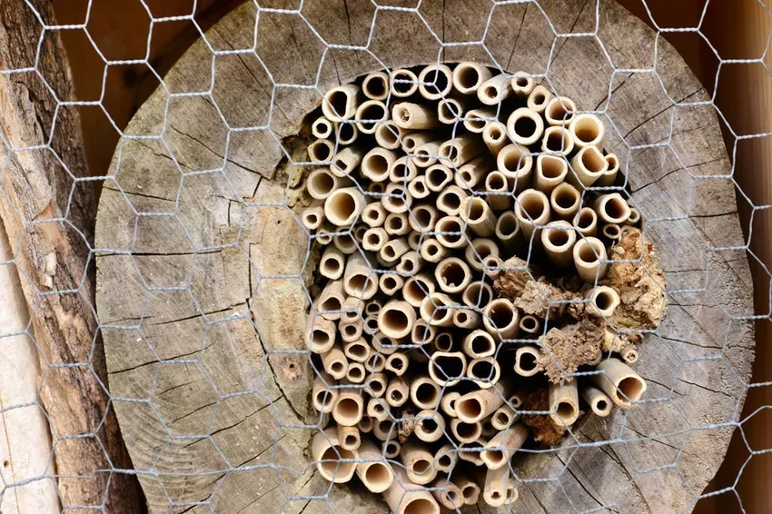 Building an insect hotel out of a tree trunk - instructions and tips