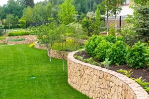 Creating a new lawn in 6 steps