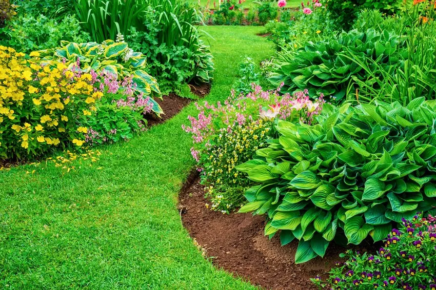 English lawn edging – tips for separating your beds from the lawn