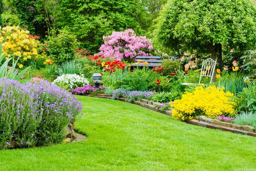 Garden design: These 4 aspects are important