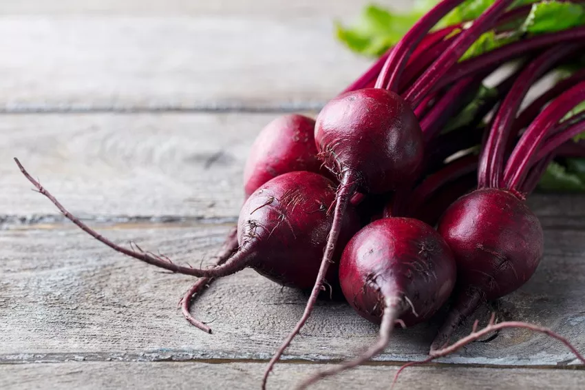 Beetroot nutritional values ​​- it's all in the tuber