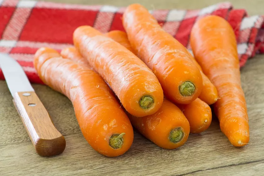 Armazenando cenouras - é assim que os vegetais permanecem frescos por mais tempo