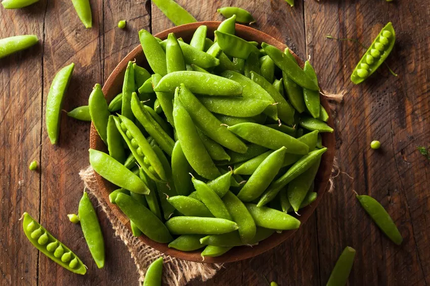 Storage sugar snap peas - this way they stay fresh for a long time