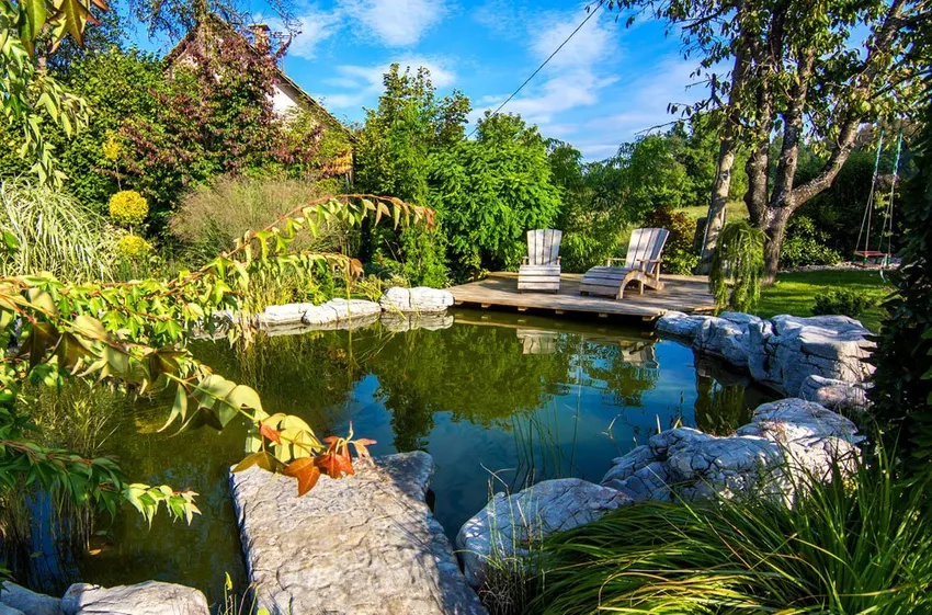 Natural water purification in the swimming pond - it depends on the plants!