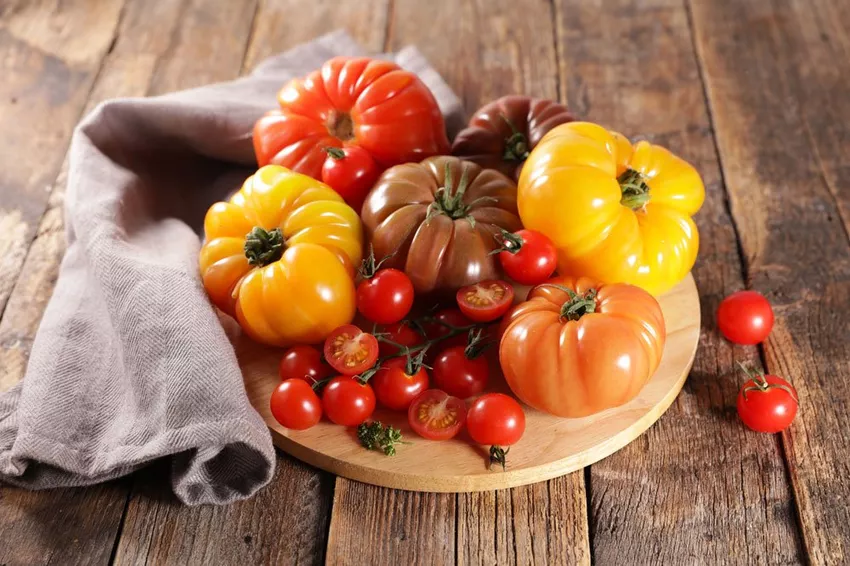 Are tomatoes he althy? - 6 important facts