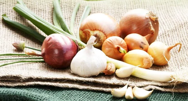 Onion Varieties - Types & Differences