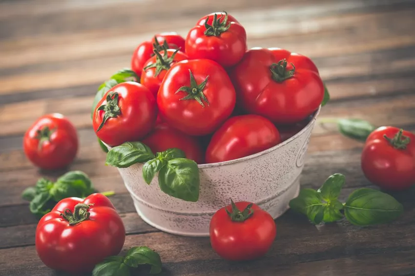 Tomaten oogsten: tips voor het juiste moment