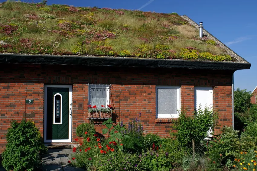 Extensive roof greening: structure & suitable plants for a blooming green roof are presented