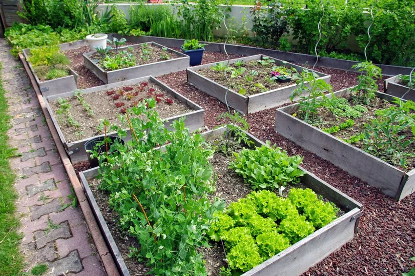 Design a herb garden - 21 ideas for large and small gardens