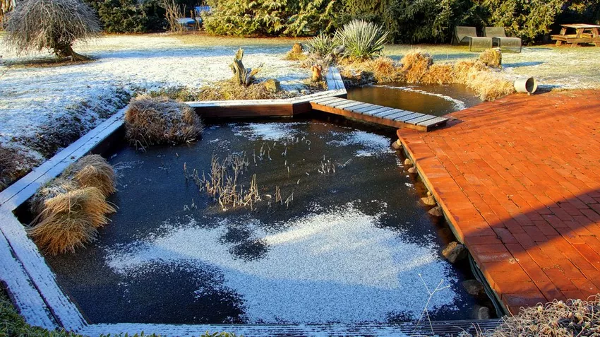 Preparing the garden pond for winter - follow 3 rules!