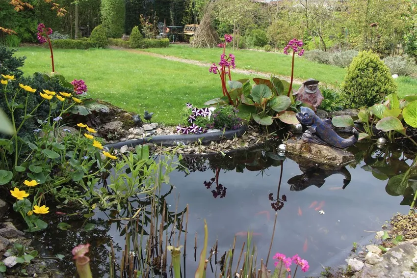 Sun protection for the garden pond - 5 options presented