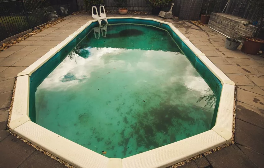 Algae in the pool - causes & Tips for combating