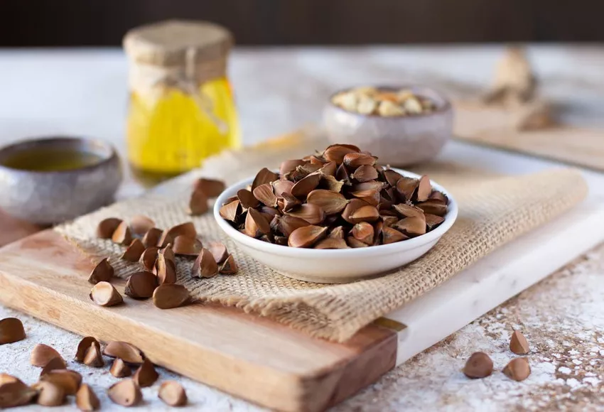 Eat beechnuts? Nutrients and important tips