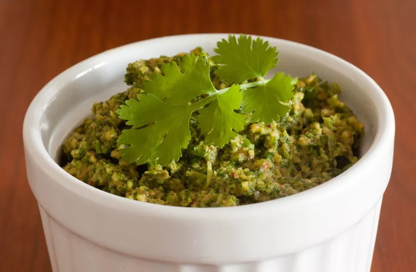 Coriander pesto recipe: A pleasure not only in Asian cuisine