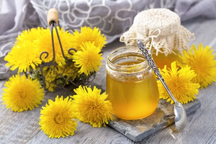 Make dandelion honey yourself - 3 simple recipes with instructions