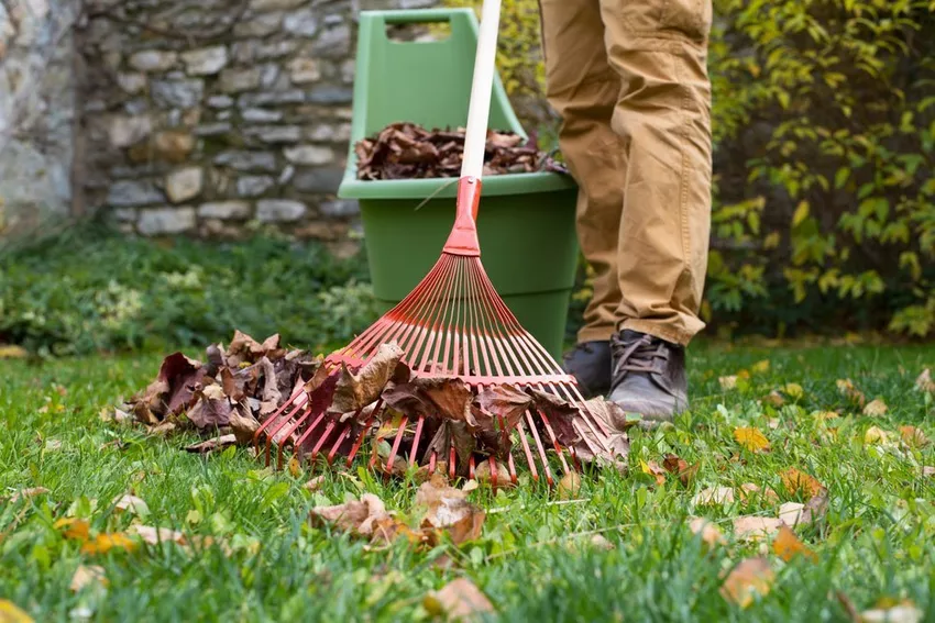 You must complete these 5 tasks before the first frost!